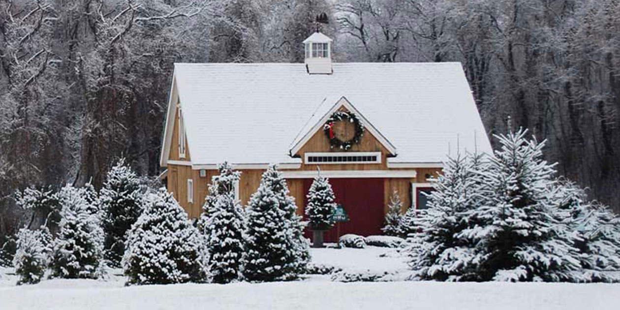 Clarks Christmas Tree Farm